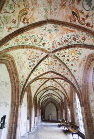 The Schwahl, Schleswig Cathedral, Schleswig, Schleswig-Holstein, Germany