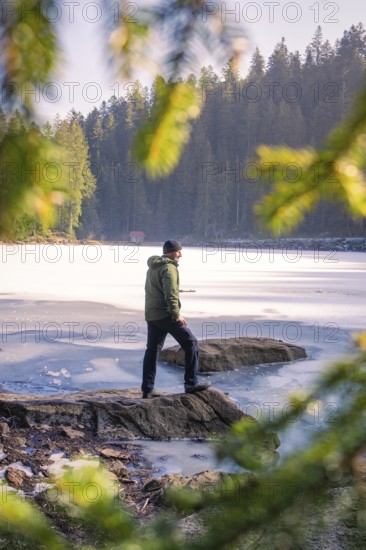 Man looking at a frozen lake, surrounded by coniferous forests and sunlight, Glaswaldsee, Bad Rippoldsau-Schapbach, district of Wolfach, Black Forest, Germany