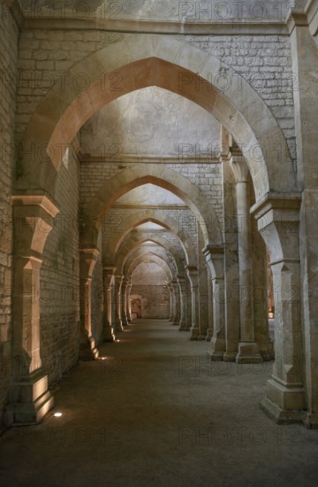 Nave of the Cistercian Abbey of Fontenay, Unesco World Heritage Site, Cote d'Or, Burgundy, France
