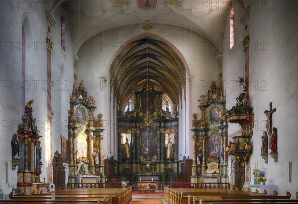 Interior view, view of the choir room, Dominican Church, Bad Wimpfen, Kraichgau, Baden-Württemberg, Germany