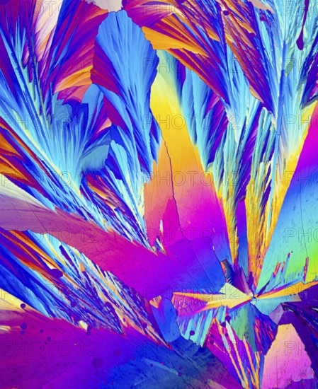 This image captures the stunning microscopic view of Adipic acid crystals, showcasing a vivid array of colors including electric blue, magenta, yellow, and purple. The angular formations highlight the unique crystal structure
