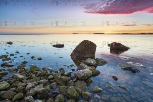 Rocky beach with boulders on the Bay of Greifswald at sunset, Mönchgut Nature Reserve, Groß Zicker, Mönchgut Peninsula, Rügen Island, Mecklenburg-Western Pomerania, Germany