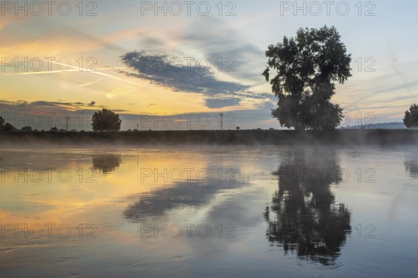 Morning with fog on the Elbe at sunrise, Radebeul, Saxony, Germany