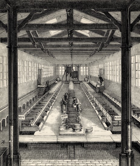 Fish farming at Huningue, Haut-Rhin department, Alsace, France, 19th century