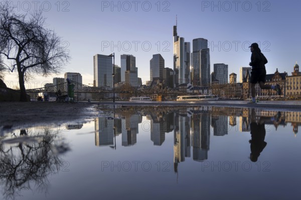 Frankfurt's banking skyline and a jogger running by are reflected in a puddle on the banks of the Main, Frankfurt am Main, Hesse, Germany