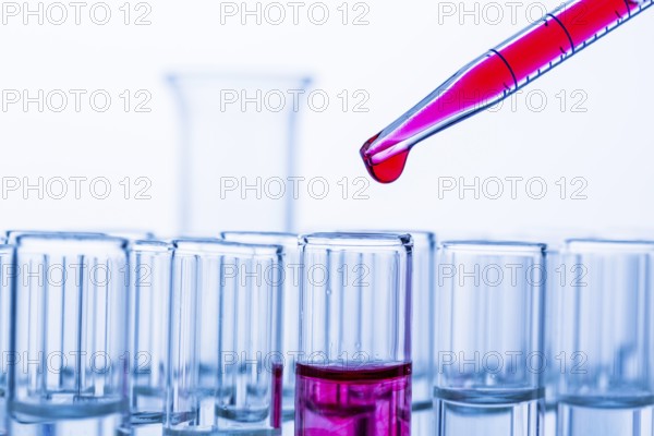 Many test tubes during an experiment in a university research laboratory. Symbolic photo for learning and research, pipette, studio shot, Austria
