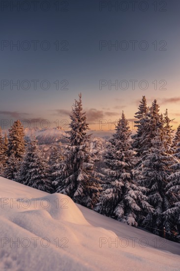 A Winter Wonder Land sunset hiking tour in the snow on the Edelsberg near Nesselwang in the Allgäu in Bavaria, Germany