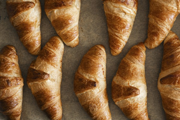 A high angle view of freshly baked homemade croissants placed on a baking sheet. Their golden brown crusts glisten, showcasing the perfect flaky texture and buttery aroma