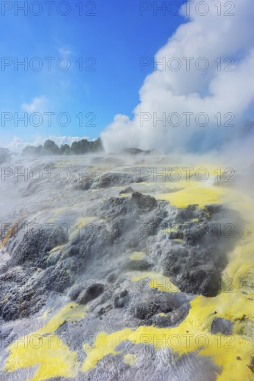 Prince of Wales and Pohutu geysers erupting, Te Puia Thermal Valley, Rotorua, Bay of Plenty, North Island, New Zealand