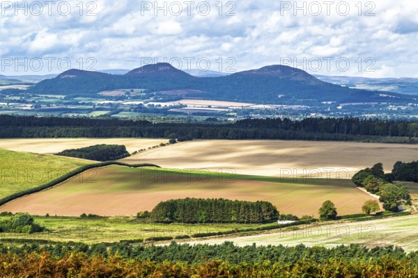 Scottish fields and farms, Southeast Scotland, UK