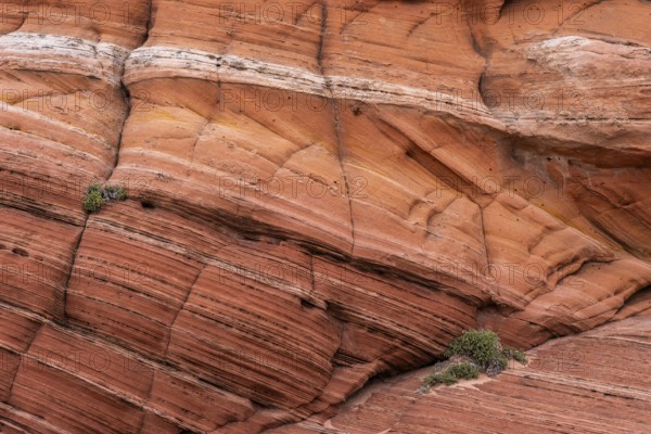 Close-up view of a weathered sandstone formation displaying natural abstract textures and rich earthy tones, showcasing layers and patterns created by geological processes
