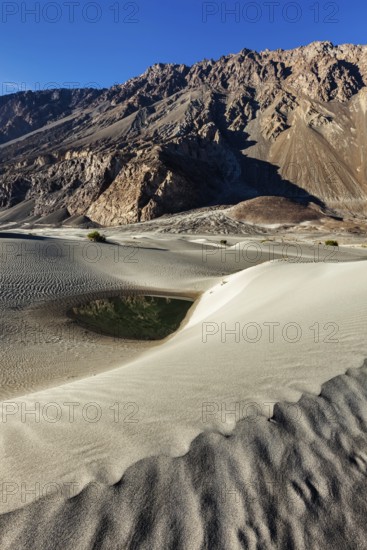 Sand dunes in Nubra valley in Himalayas. Hunder, Nubra valley, Ladakh