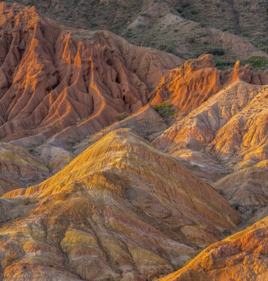 Red rocks, canyon of eroded sandstone formations, red and orange sandstone rocks, fairytale gorge, Skazka, Tosor, Kyrgyzstan