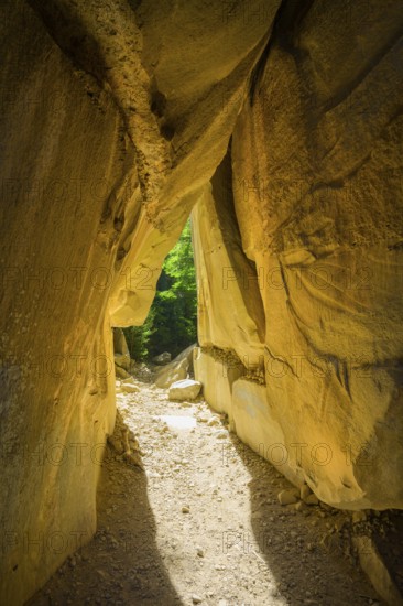 Incidental sun illuminates the passage (Chambre du Roi) through the high rocks, hike through the sandstone labyrinth Grés d'Annot, Alpes-de-Haute-Provence, France