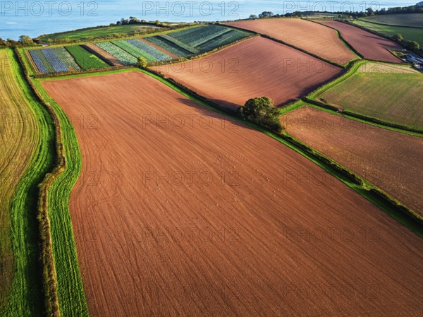 Colours of autumn Fields and Farms over Sheldon from a drone, Torbay, Devon, England, United Kingdom