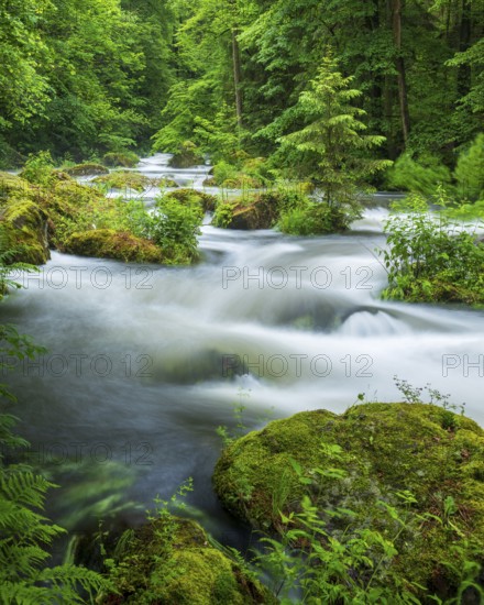 White water and rapids on the Trieb stream in the Triebtal nature reserve in Vogtland, Plauen, Saxony, Germany
