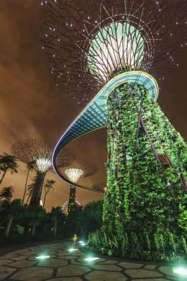 SINGAPORE, DECEMBER 31, 2013: Night view of Supertree Grove at Gardens by the Bay. Futuristic park spans 101 hectares is to become Singapore premier urban outdoor recreation space and national icon