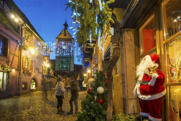 Colour-illuminated and Christmassy decorated half-timbered houses, blue hour, Christmas market, Riquewihr, Grand Est, Haut-Rhin, Alsace, France