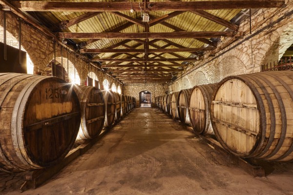 A wine cellar with wooden barrels and rustic stone walls in warm light, Achaia Clauss Winery, Patras, Peloponnese, Greece
