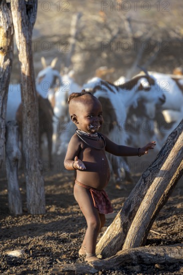 Young Himba child smiling, goats fenced in the kraal, in the morning light, traditional Himba village, Kaokoveld, Kunene, Namibia