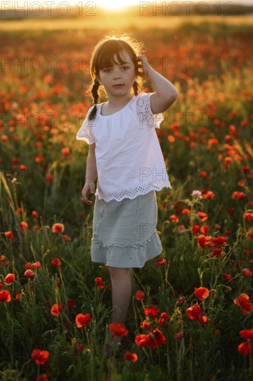 A young girl stands amid vibrant Papaver rhoeas, known as common poppy and red poppy, during a striking sunset. The warm backlight highlights her playful curiosity as she explores the flower field