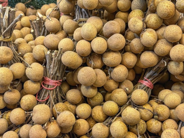 Abundant fresh longans, fruit similar to lychee, are neatly tied with twine and arranged in a market setting. The fruits' light brown skin showcases their ripeness