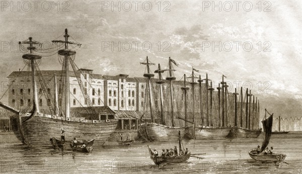 Die West India Docks, Isle of Dogs in London, England, 19. Jahrhundert
