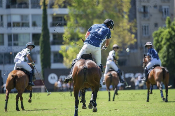 Scene at the 132nd Argentinean Open Polo Championship (Spanish 132nd Abierto Argentino de Polo de Palermo) in the Polo Stadium playing between La Hache Cria y Polo and La Dolfina 2 in Buenos Aires, Argentina