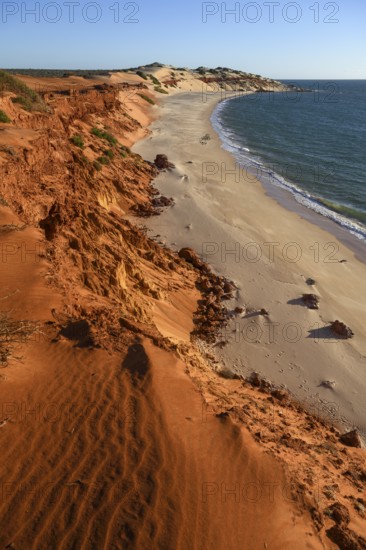Landscape near Cape Perón, François Péron National Park, near Denham, Shark Bay, State of Western Australia, Australia