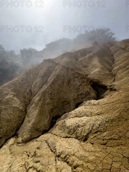 Clouds of fog, yellow earth, erosion, near Arguamul, La Gomera, Canary Islands, Spain