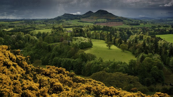 Europe, Scotland, Great Britain, England, landscape, Scott's view, viewpoint near Bemersyde, after Sir Walter Scott, Bemersyde