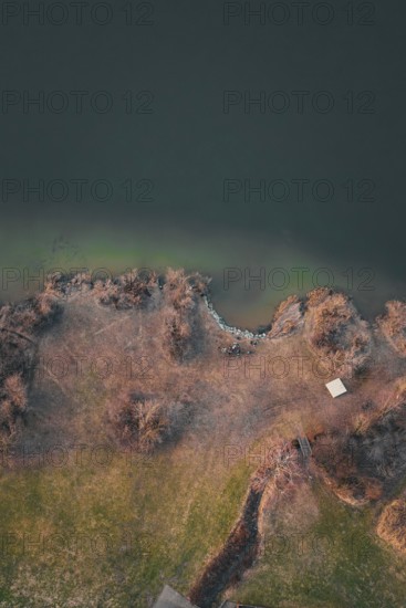 View of a wooded shoreline with clear blue lake water, Großer Alpsee, Immenstadt im Allgäu, Bavaria, Germany
