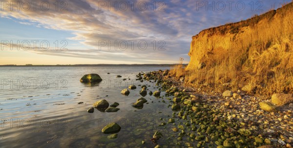 Rocky beach with boulders on the cliffs of the Bay of Greifswald in the evening light, Mönchgut nature reserve, Groß Zicker, Mönchgut peninsula, Rügen island, Mecklenburg-Western Pomerania, Germany