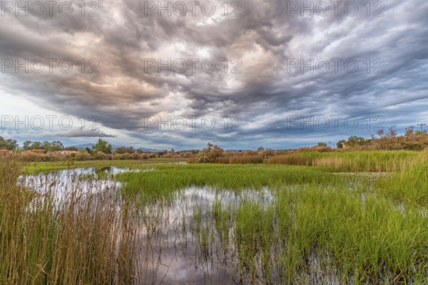 Landscape Greece, reeds, Kalloni Pool, Lesbos Island, Greece, cloudy mood Lesbos