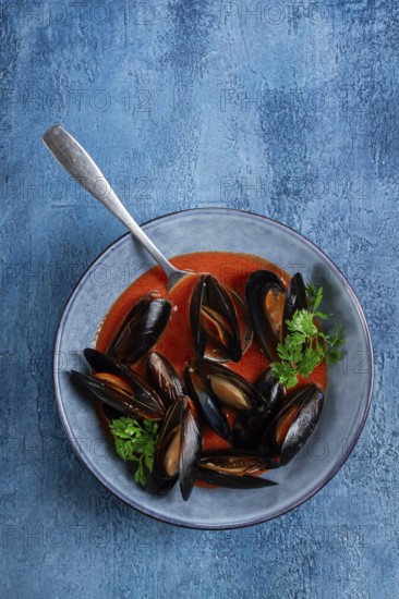Fra Diavolo mussels, mussels in tomato sauce, Italian dish, on a blue background, homemade, no people