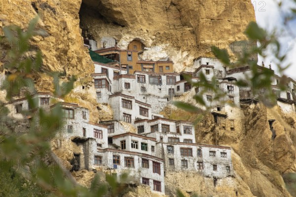 Phugtal Monastery, nestled in Ladakh's rugged cliffs, is a stunning Buddhist retreat. Its whitewashed walls and wooden windows create an awe-inspiring sight against the rocky backdrop