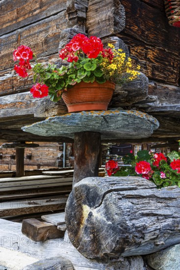 Flower-decorated barn on wooden supports and stone slabs, historic village centre, Grimentz, Val d'Anniviers, Valais Alps, Canton Valais, Switzerland