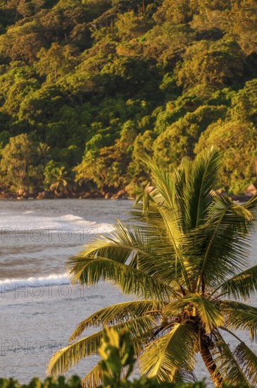 Anse La Liberte beach, Mahe, Republic of Seychelles, Indian Ocean