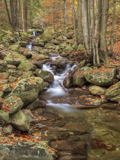 Riesloch nature reserve, Riesloch Falls, Riesloch Falls, Riesbach waterfall, Bodenmais, Bavarian Forest, Lower Bavaria, Bavaria, Germany