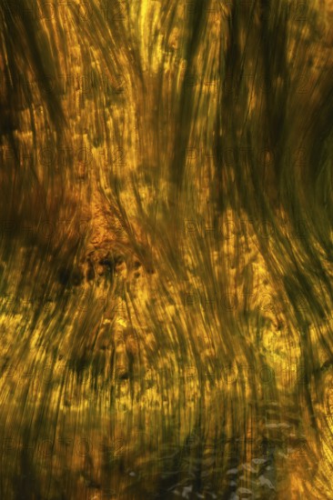 Abstract image capturing the striking colors and flow of Riotinto River in Huelva, Spain The vibrant hues create an artistic impression of nature's beauty