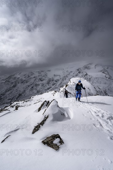 Ski tourer, ascent to the summit of the Köllkuppe or Cima Marmota, snow-covered mountain landscape, Ortler Alps, Vinschgau Valley, Italy