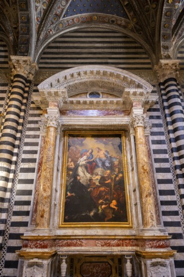 Interior of colorful marble decoration, Siena Cathedral or Cattedrale di Santa Maria Assunta, Siena, Tuscany, Italy