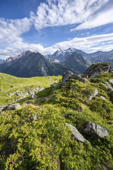 View from the Cabane du Louvie of the glaciated mountain peaks of the Grand Combine, Valais Alps, Val de Bagnes, Valais, Switzerland