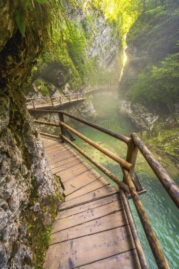 Scenic wooden walkway winding through vintgar gorge, with the radovna river flowing below, near bled, slovenia