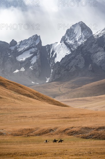 Rider in front of mountain landscape with yellow meadows, mountain peak, Keltan Mountains, Sary Beles Mountains, Tien Shan, Naryn Province, Kyrgyzstan