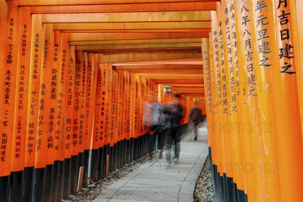 Visitors on a journey through hundreds of red traditional torii gates, Fushimi Inari-taisha, Shinto shrine, long exposure, motion blur, Fushimi Inari-taisha Okusha Hohaisho, Kyoto, Japan