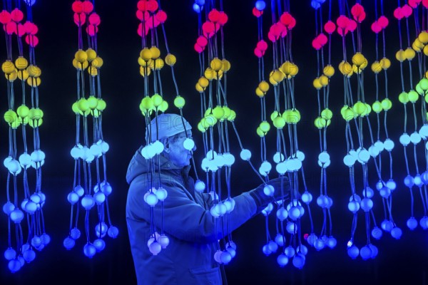 Park lights, winter event, in the Grugapark in Essen, many different light installations, across the park, attract many thousands of visitors, light work of art consisting of many hundreds of hanging ball lamps, LEDs, with changing colors, accessible, North Rhine-Westphalia, Germany