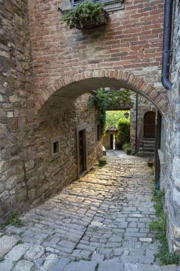 View of a little Street in the little wine town of Montefioralle, Chianti, Florence, Firenze, Tuscany, Italy