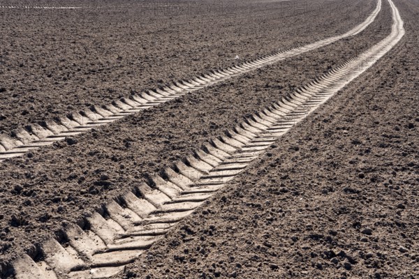 Tractor tracks, agricultural trails at a cultivated field in springtime, farmland near Wesertal, Weser Uplands, Weserbergland, Hesse, Germany