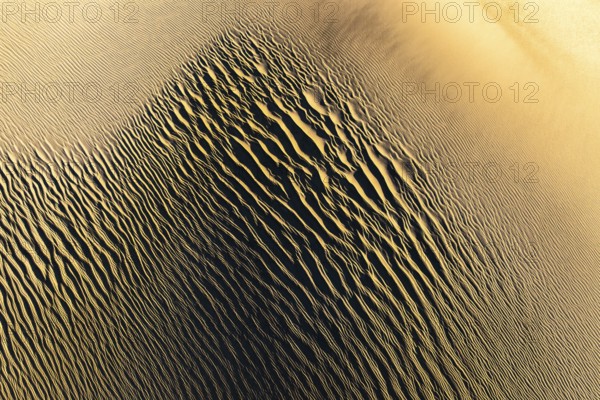 Explore the intricate textures of La Puna sand dunes at sunset. The golden hues and undulating patterns create a mesmerizing natural landscape formed by wind and time